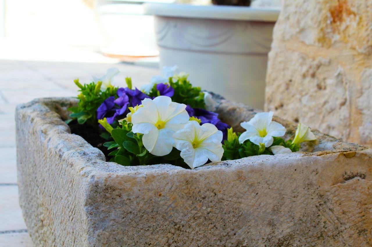 Trulli Antica Fonte Bed & Breakfast Alberobello Ngoại thất bức ảnh