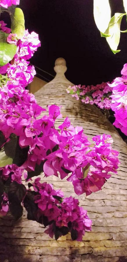 Trulli Antica Fonte Bed & Breakfast Alberobello Ngoại thất bức ảnh